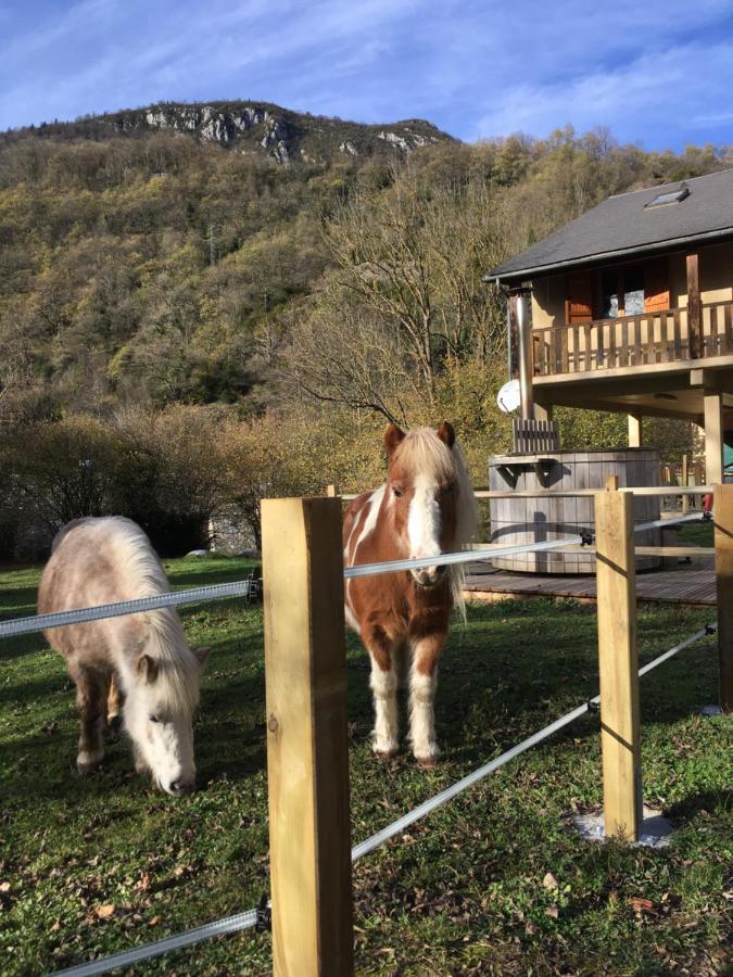 Les Marmottes Pour 12 Avec Bain Nordique Privatif Villa Camous Eksteriør bilde